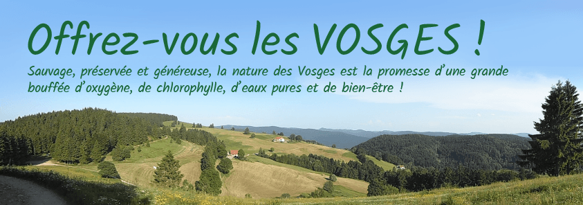 Offrez-vous les Vosges !